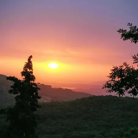 La Provenca *