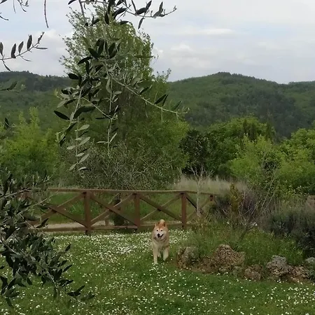 La Provenca