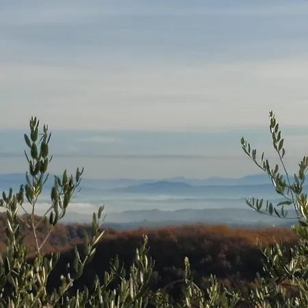 La Provenca