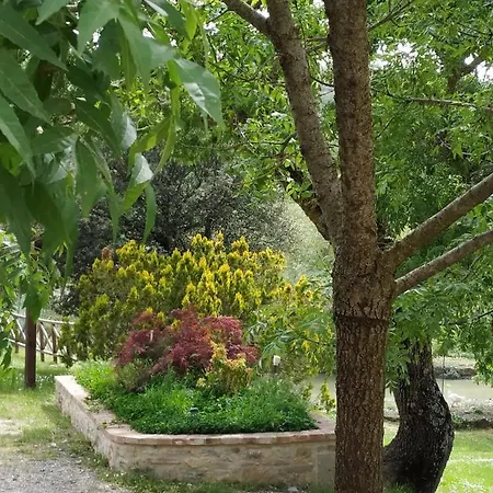 La Provenca *