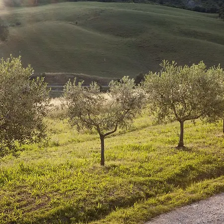 Feriegård La Provenca *