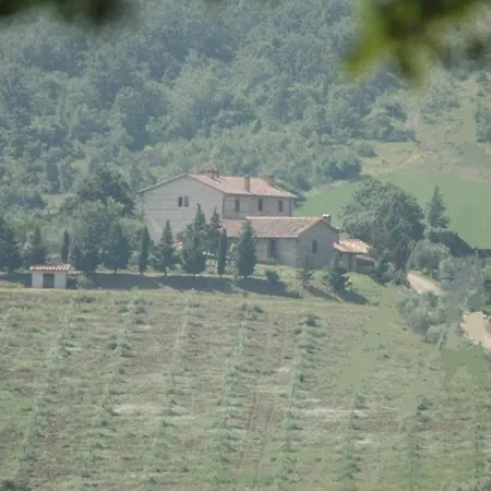 La Provenca *